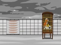 Free The Caged Pelican