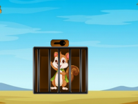 Squirrel Prison Escape