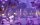 Purple Town