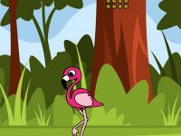 Satisfying The Squirrel Wish