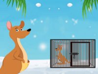 Baby Red Kangaroo Rescue