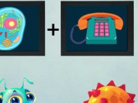 Mystery Cell Lab Escape