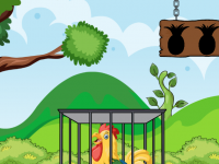 Escape The Clever Rooster In Cage