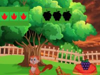 Rescue The Hungry Squirrel