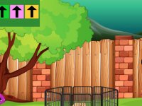 Congo Lion Cub Rescue