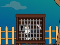 American Wirehair Cat Escape