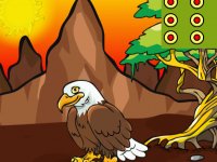 Help To The Hungry Eagle