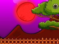 Cock Escape From Cage