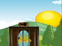 Cracked Shell Escape