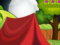 Hoopoe Bird Escape From Cage