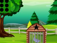 Anas Platyrhynchos Escape