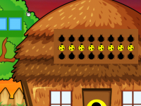 Green Bird Escape From Cage