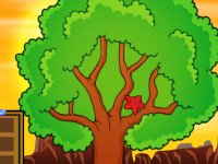 First Aid For The Cute Puppy