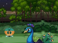 Help Innocent Peacock Mother