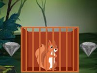 G2M Squirrel Rescue Escape