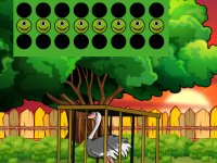 Struthio Camelus Massaicus Rescue