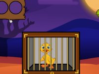 Escape The Baby Duck From Cage