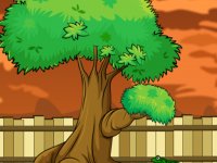 Rooster Family Rescue From Small House