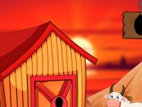 Guinea Fowl Rescue From The Cage