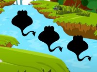 Honeybee Goes Back To Nest