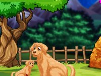 Help The Wounded Golden Retriever Puppy