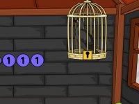 The Phalacrocoracidae Rescue