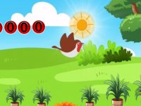 Honey Bear Garden Escape