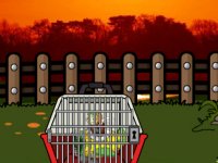 Funny Mouse Escape From Cage