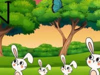 G2M Trapped Squirrel Rescue