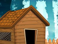 Green Sea Turtle Rescue