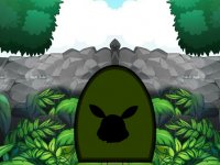 Feed Starving Fainted Dog