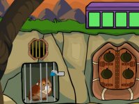 Flores Scops Owl Rescue