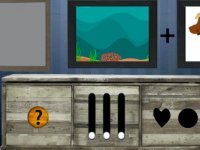 Find Playful Sea Buddy Finn