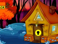 Twin Pigeon Escape From The Cage