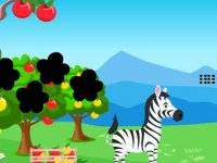 Zebra Discovers The Foal