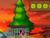 Escape The Lovable Pet Rabbit