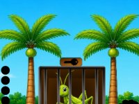 Buggy Cage Escape