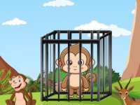 G2M Jungle Monkey Rescue