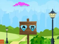 Raccoon Tail Escape