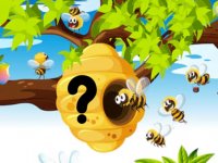 Bee Hive Rescue