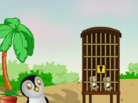 Free The Little Penguin