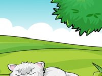 Wise Cat Rescue