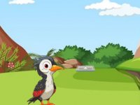 Help The Mom Woodpecker