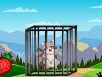 G2L Wild Raccoon Rescue