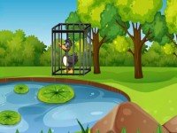 Trapped Duck Escape
