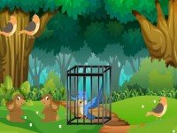 Forest Blue Bird Rescue