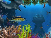 Underwater Magic