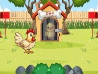 Chick Trapped In Dog Cabin