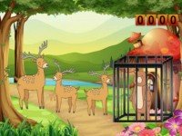 G2M Little Bear Escape