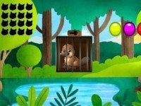 Platypus Cage Escape